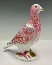 A Royal Crown Derby paperweight, War Pigeon, commissioned in recognition of all World War II pigeons