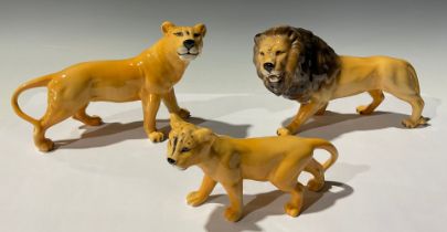 A Beswick Lion Family group, the father 23cm long, printed marks (3)