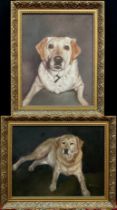 English school, 20th century, a pair of portraits, Labradors, each signed, 45cm x 35cm, and 35cm x