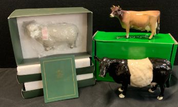 Beswick Belted Galloway cow,14cm high, boxed, another similar Beswick cow, a model sheep, 15cm