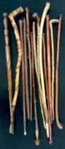 A knobkerry style hedgerow walking stick, other assorted inc carved example (12)