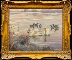 W L Stevenson (20th century) Swans and Geese, the pink glow of dawn, signed, oil on canvas, 40cm x