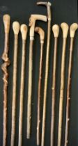 A group of nine walking canes / walking sticks, one with the handle carved in relief with Hare,