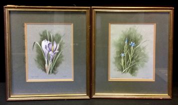 Stephen Gayford (Bn.1954) A pair, Snow Gentian and Crocus signed, watercolour and gouache, 22cm x