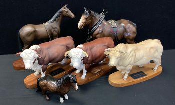 A Beswick Connoisseur collection model Charolais Bull, others Polled Hereford Bull and cow ,