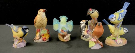 Royal Worcester Birds, Pied Woodpeckers, Thrush, Blue Tits, Kingfisher with catch etc (6)