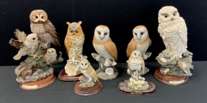 A group of model owls including; a pair of Leonardo collection Barn owls, 29cm high, Snowy owl;