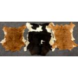 A Holstein-Friesian cowhide, 110cm x 105cm, conforming two longhorn cow hides, both approximately,