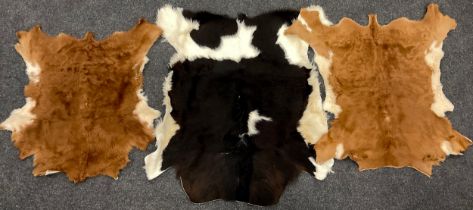 A Holstein-Friesian cowhide, 110cm x 105cm, conforming two longhorn cow hides, both approximately,