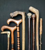 Walking Sticks - including Greek carved handled stick, with Horse Head handle, Mask top shaft,