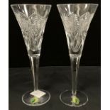 Waterford Crystal from the ‘The Millenium Collection, A Toast of the Year 2000’, a pair of cut glass