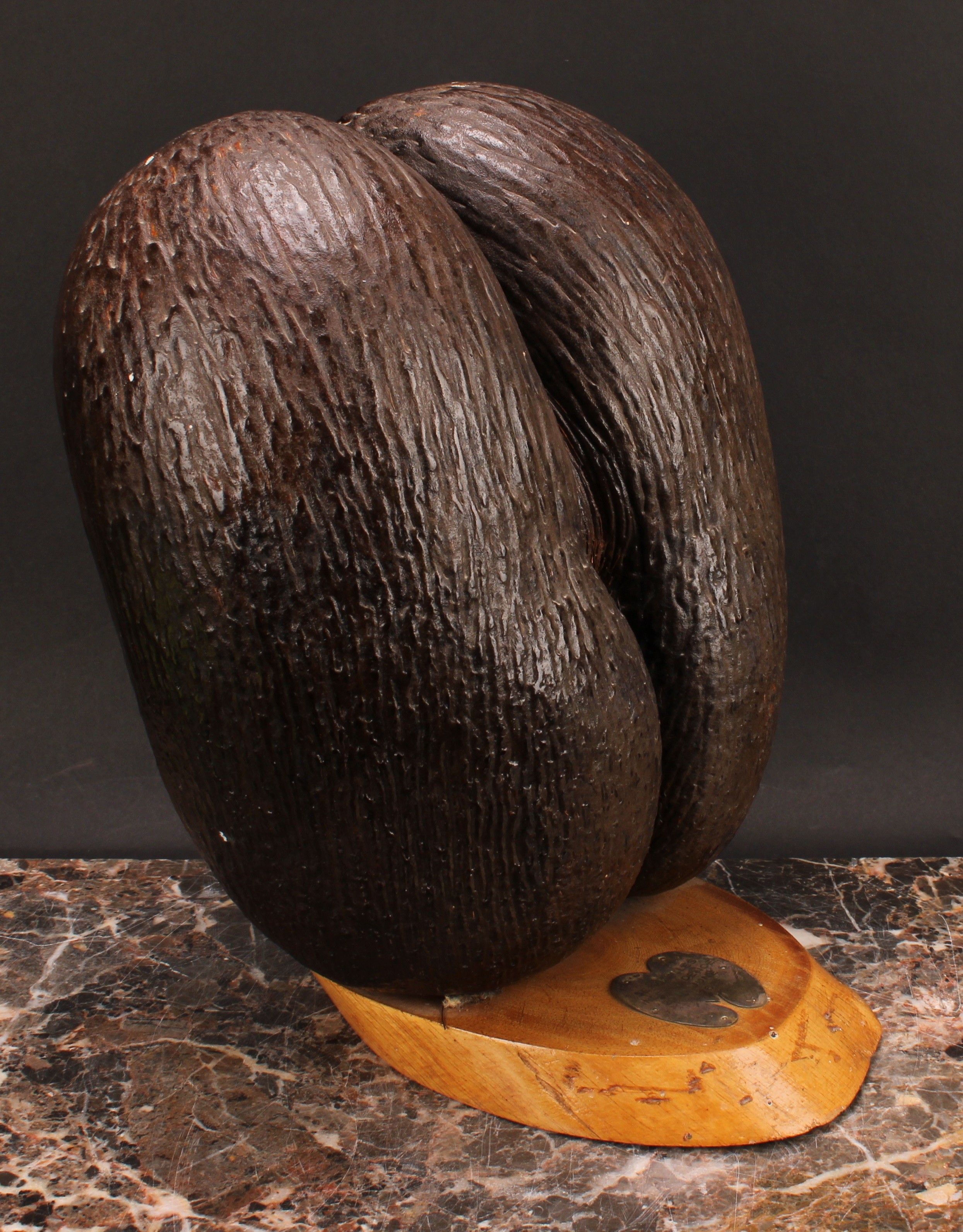 Natural History - a coco de mer (lodoicea), mounted for display, the base with silver coloured metal - Image 3 of 5