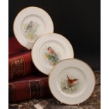 A set of three Royal Worcester tea plates, painted by W. Powell, signed, with named birds,