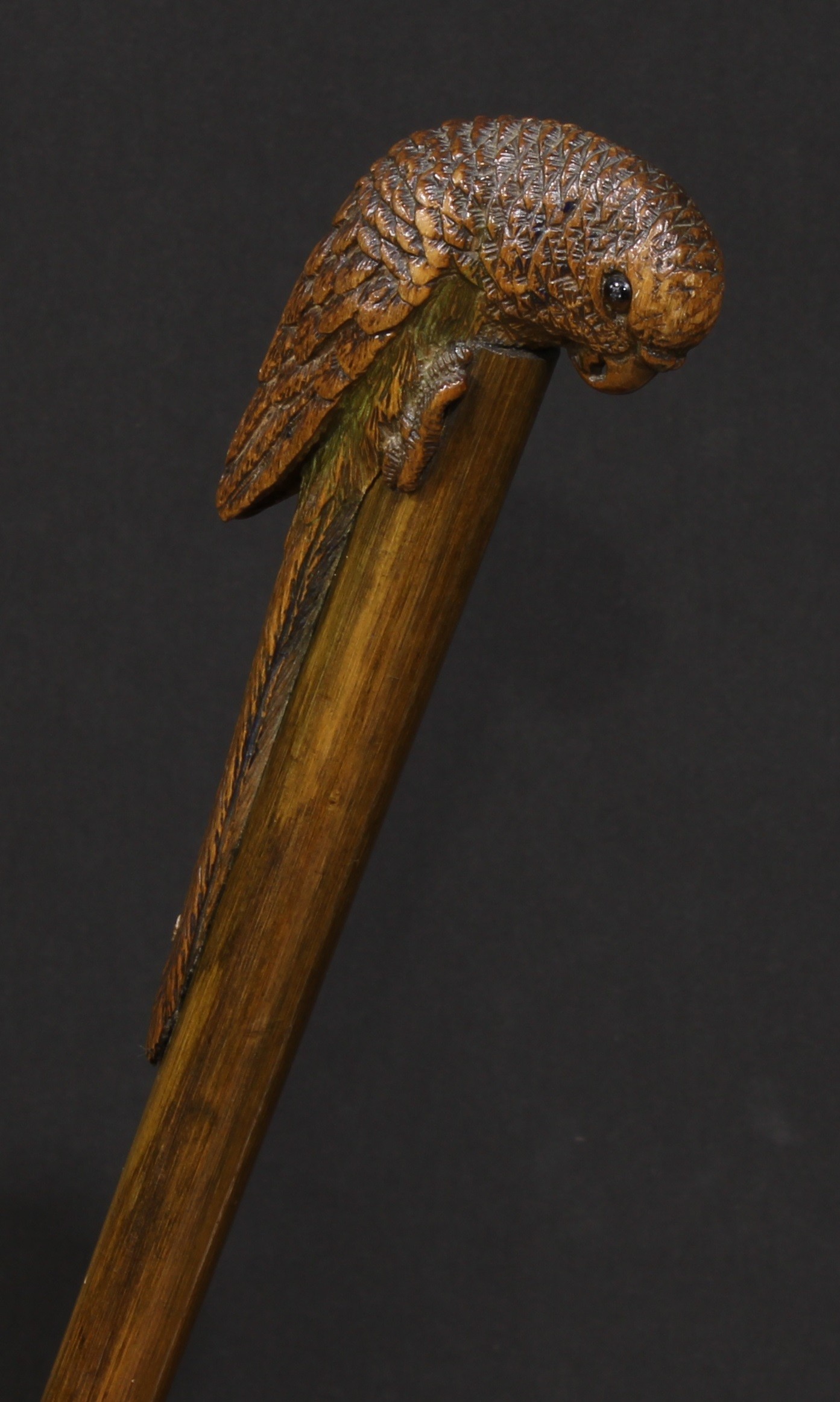 An early 20th century novelty walking stick, the handle carved as a parrot, green stained cane, 96cm