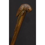 An early 20th century novelty walking stick, the handle carved as a parrot, green stained cane, 96cm