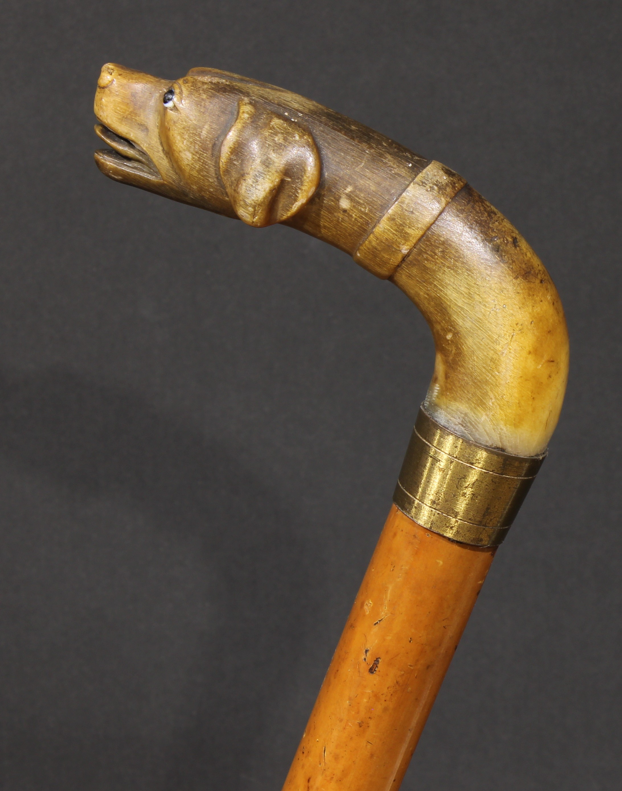 A 19th century novelty walking stick, the horn handle carved as the head of a dog, malacca cane, - Bild 2 aus 3