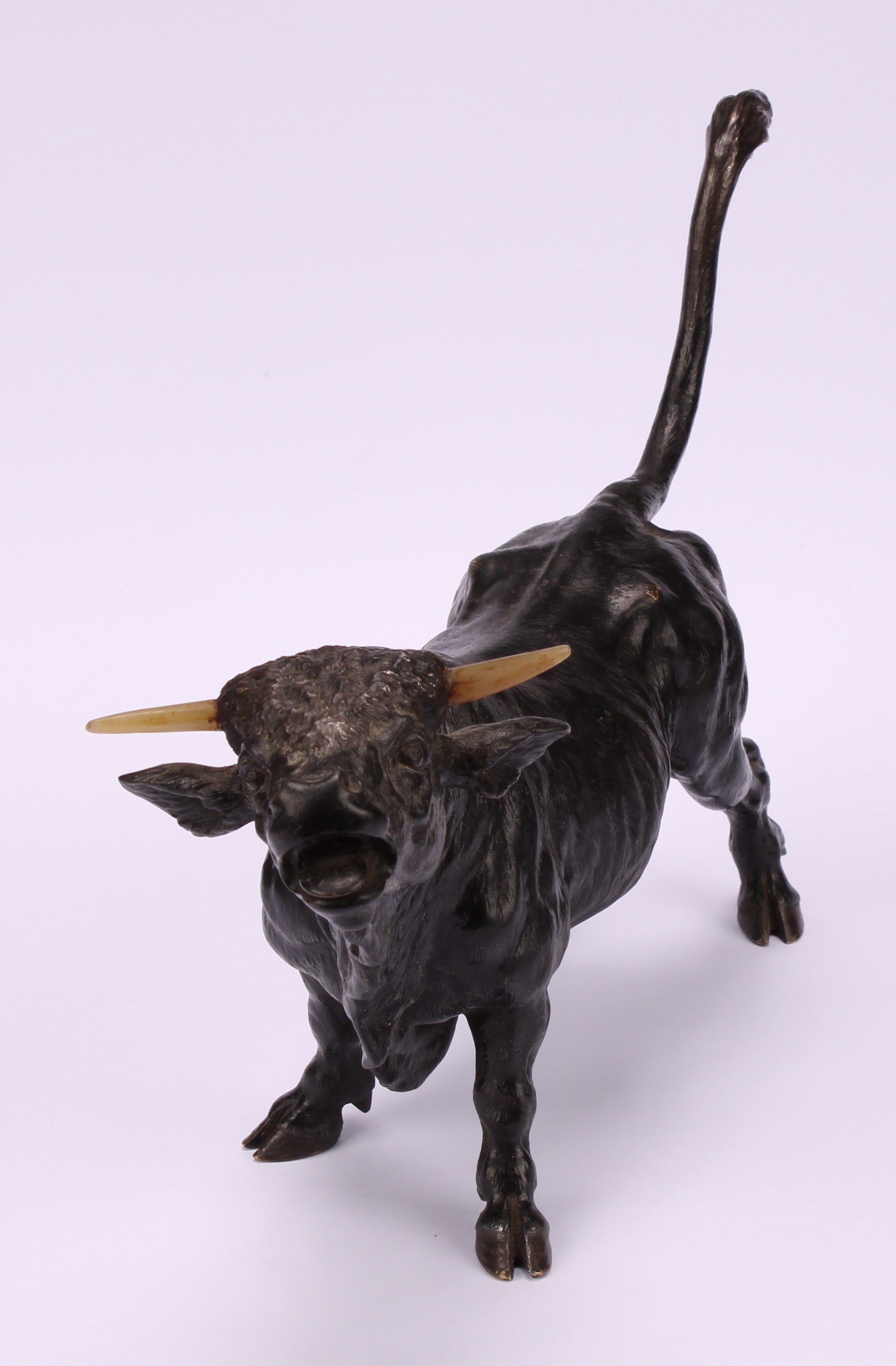 Austrian School, late 19th century, a cold painted bronze, of a bull, 26cm long - Image 3 of 4