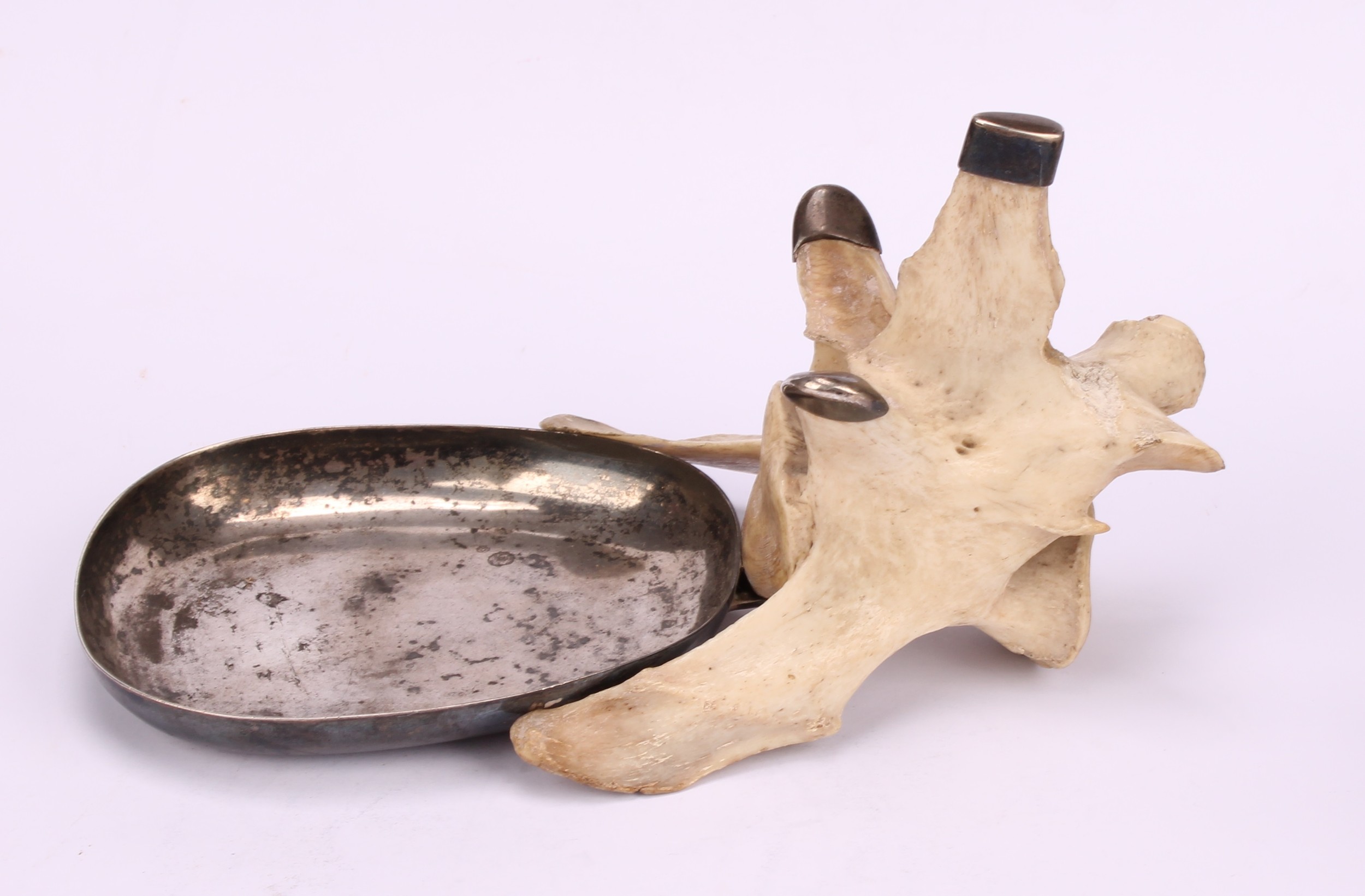Natural History and the Wunderkammer - a pair of silver coloured metal mounted dishes, formed from - Bild 6 aus 8