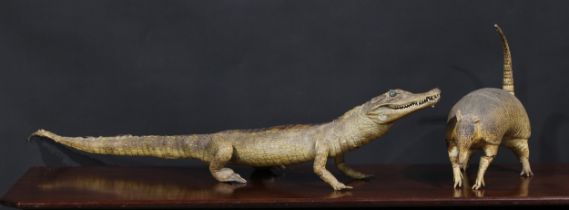 Taxidermy - a caiman, 107cm long; an armadillo, 37cm long (2)