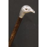 An Edwardian silver mounted novelty walking stick, by Bencox, the handle as the head of a bird,