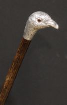 An Edwardian silver mounted novelty walking stick, by Bencox, the handle as the head of a bird,