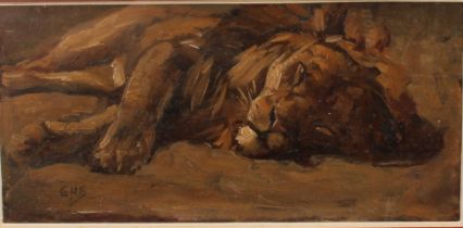 English School (20th century) Study of a Lion, initialled EHF, oil on board, 10cm x 21cm