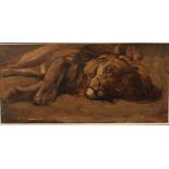 English School (20th century) Study of a Lion, initialled EHF, oil on board, 10cm x 21cm