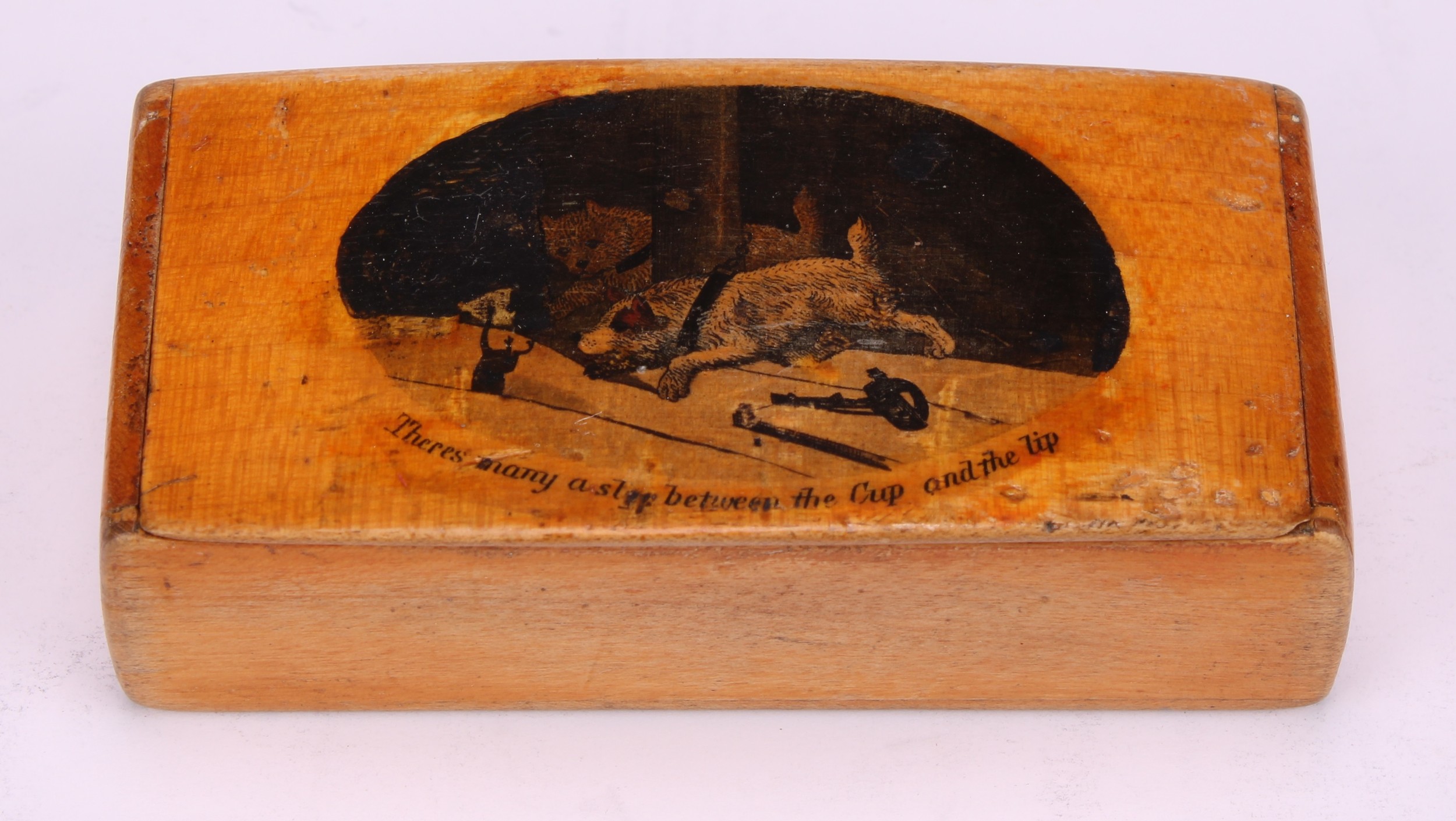 A large 19th century rounded rectangular treen snuff box, probably Scottish, integral hinge, the - Image 7 of 10
