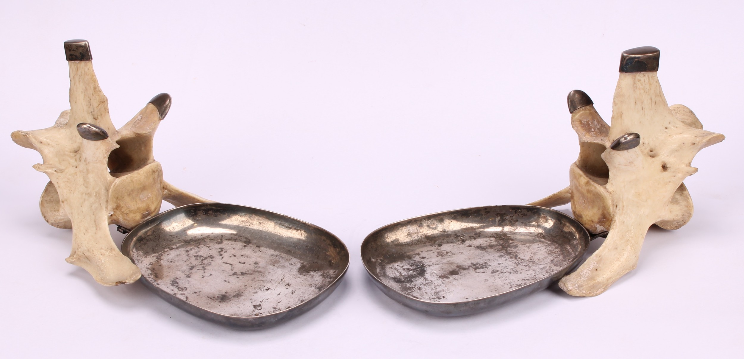 Natural History and the Wunderkammer - a pair of silver coloured metal mounted dishes, formed from - Image 2 of 8