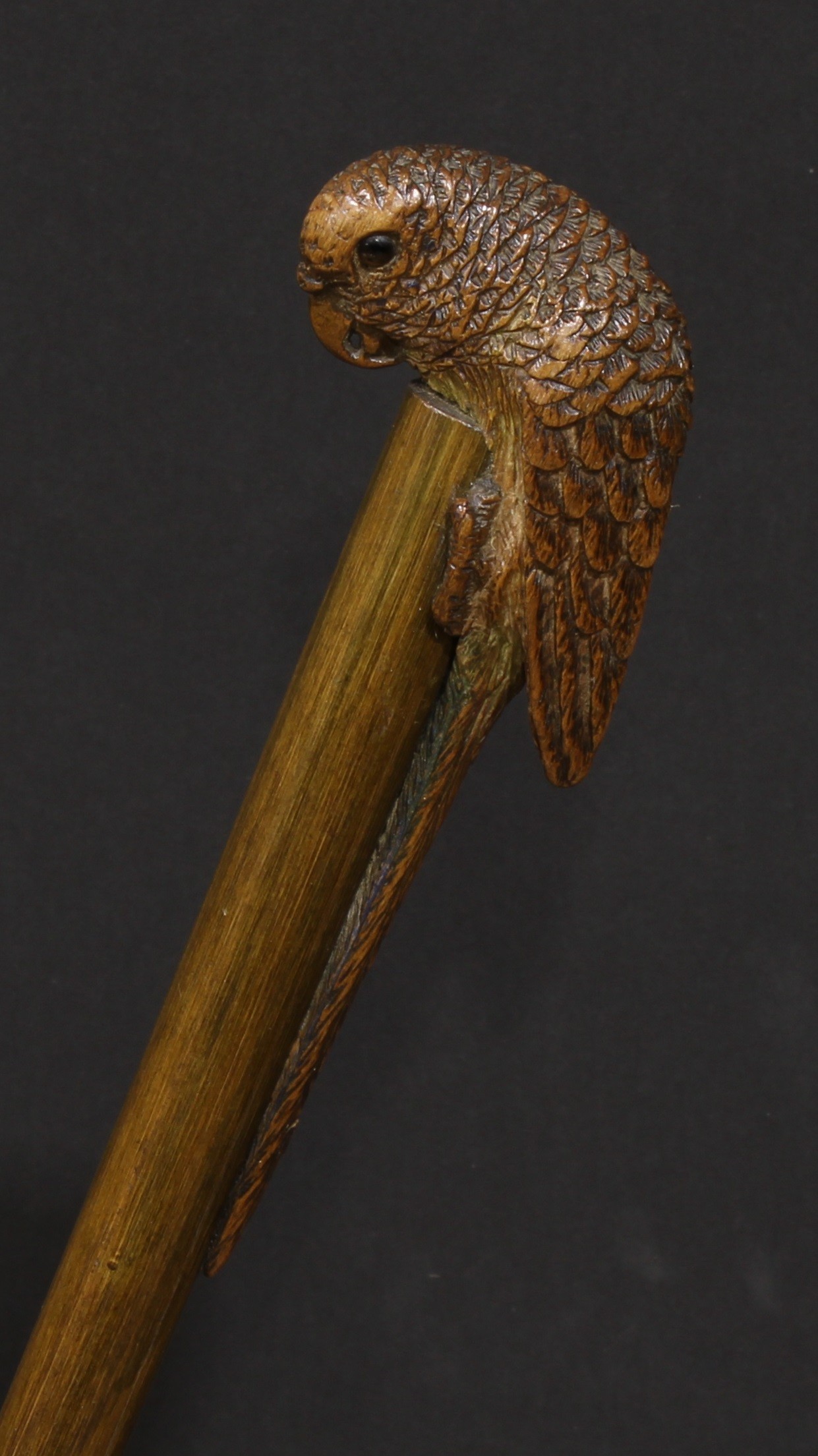 An early 20th century novelty walking stick, the handle carved as a parrot, green stained cane, 96cm - Image 2 of 3