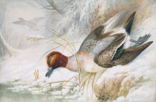 Alexander Francis Lydon (1836-1917) A Shot Teal in a Winter Landscape signed, watercolour, 42.5cm