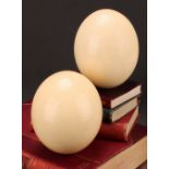 Natural History - an ostrich egg, 15cm long; another (2)