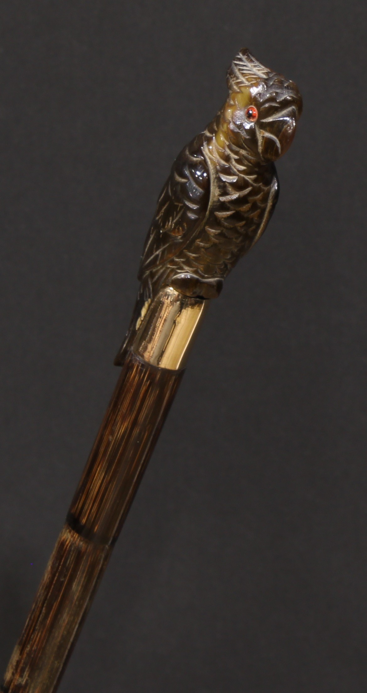 An early 20th century novelty walking stick, the horn handle carved as a parrot, gilt metal