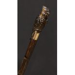 An early 20th century novelty walking stick, the horn handle carved as a parrot, gilt metal