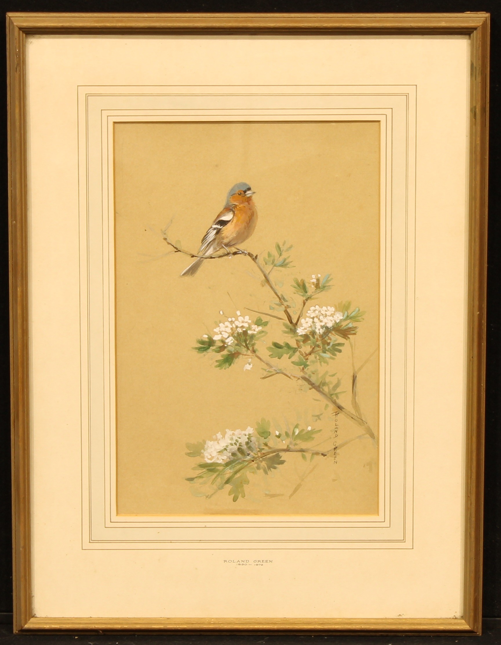 Roland Green (1890 - 1972) Bird on a Flowering Branch signed, watercolour and gouache, 33cm x 21.5cm - Image 2 of 4