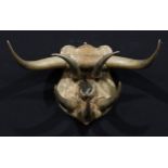 Taxidermy - an arrangement of cattle horns, the shield shaped mount centred by a hoof, 79cm wide
