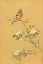 Roland Green (1890 - 1972) Bird on a Flowering Branch signed, watercolour and gouache, 33cm x 21.5cm