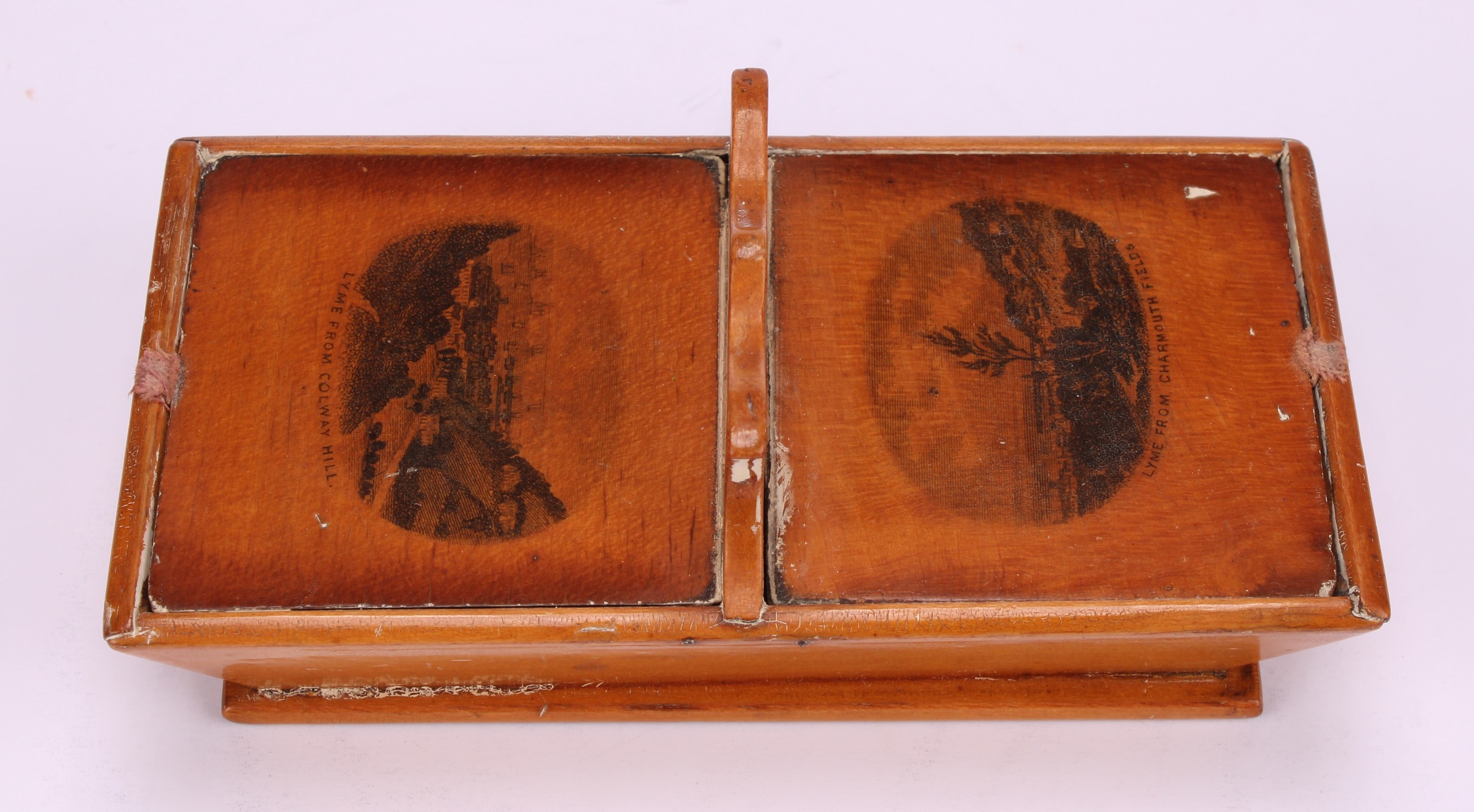 A large 19th century rounded rectangular treen snuff box, probably Scottish, integral hinge, the - Image 5 of 10