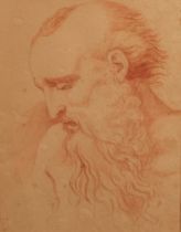 Old Master School Bearded Man, red chalk drawing, 27.5cm x 21.5cm