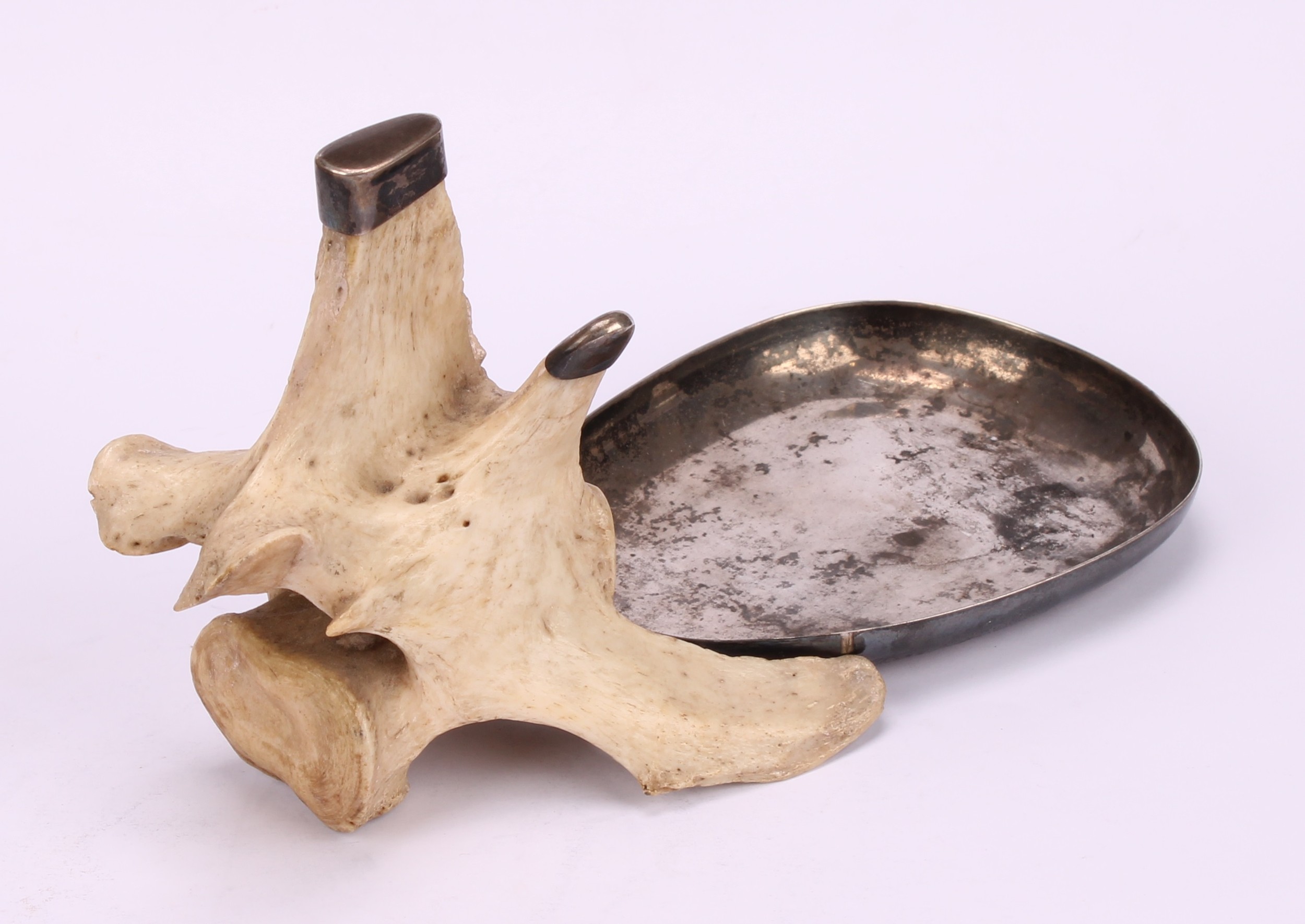 Natural History and the Wunderkammer - a pair of silver coloured metal mounted dishes, formed from - Image 5 of 8