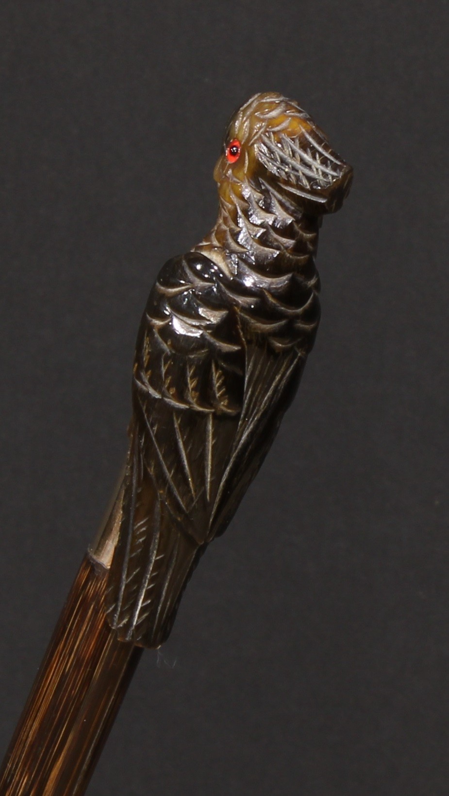 An early 20th century novelty walking stick, the horn handle carved as a parrot, gilt metal - Image 2 of 3