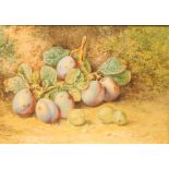 William Henry Hunt (1790-1864) Still Life, Plums and Gooseberries signed, watercolour, 23.5cm x 34cm