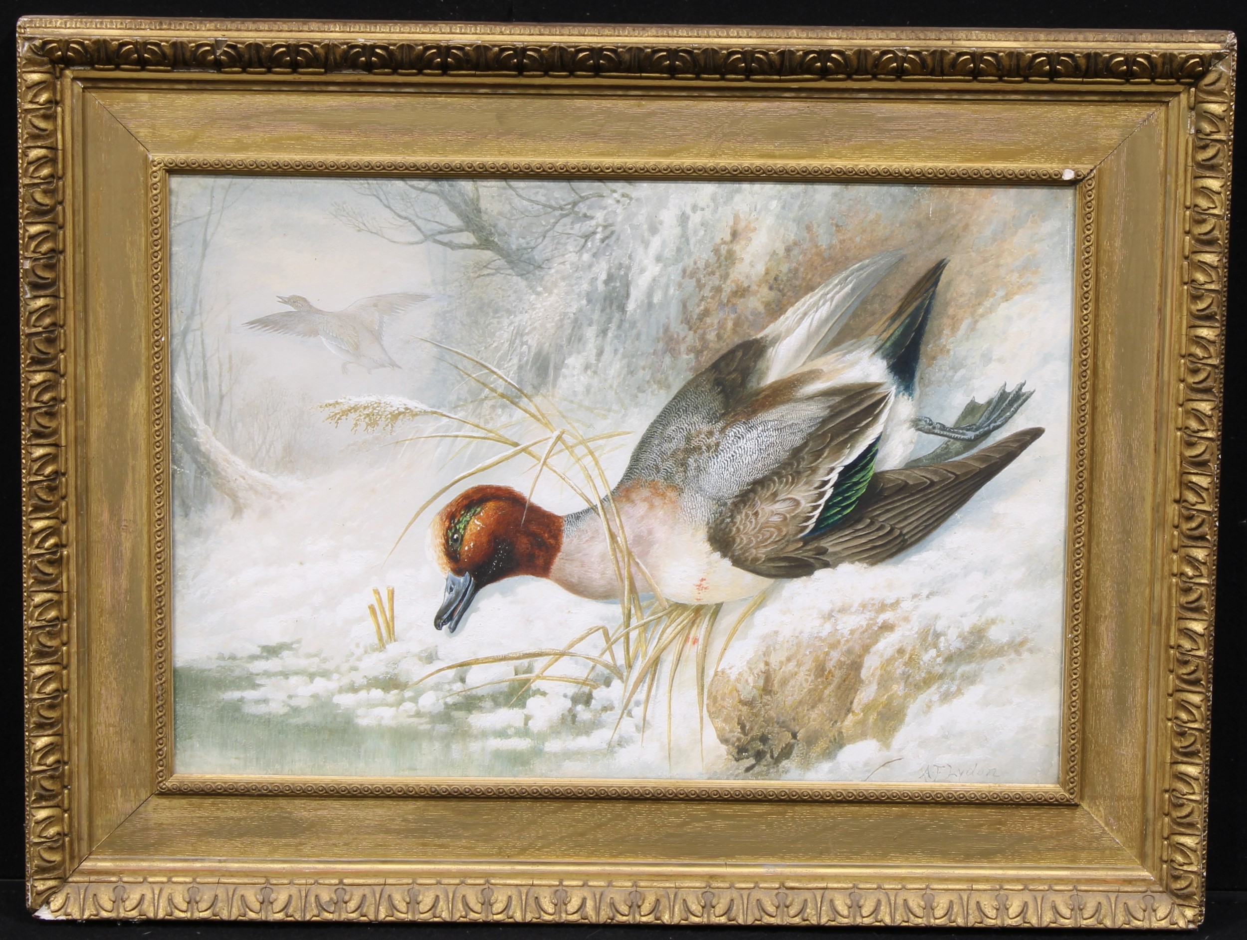 Alexander Francis Lydon (1836-1917) A Shot Teal in a Winter Landscape signed, watercolour, 42.5cm - Image 2 of 4