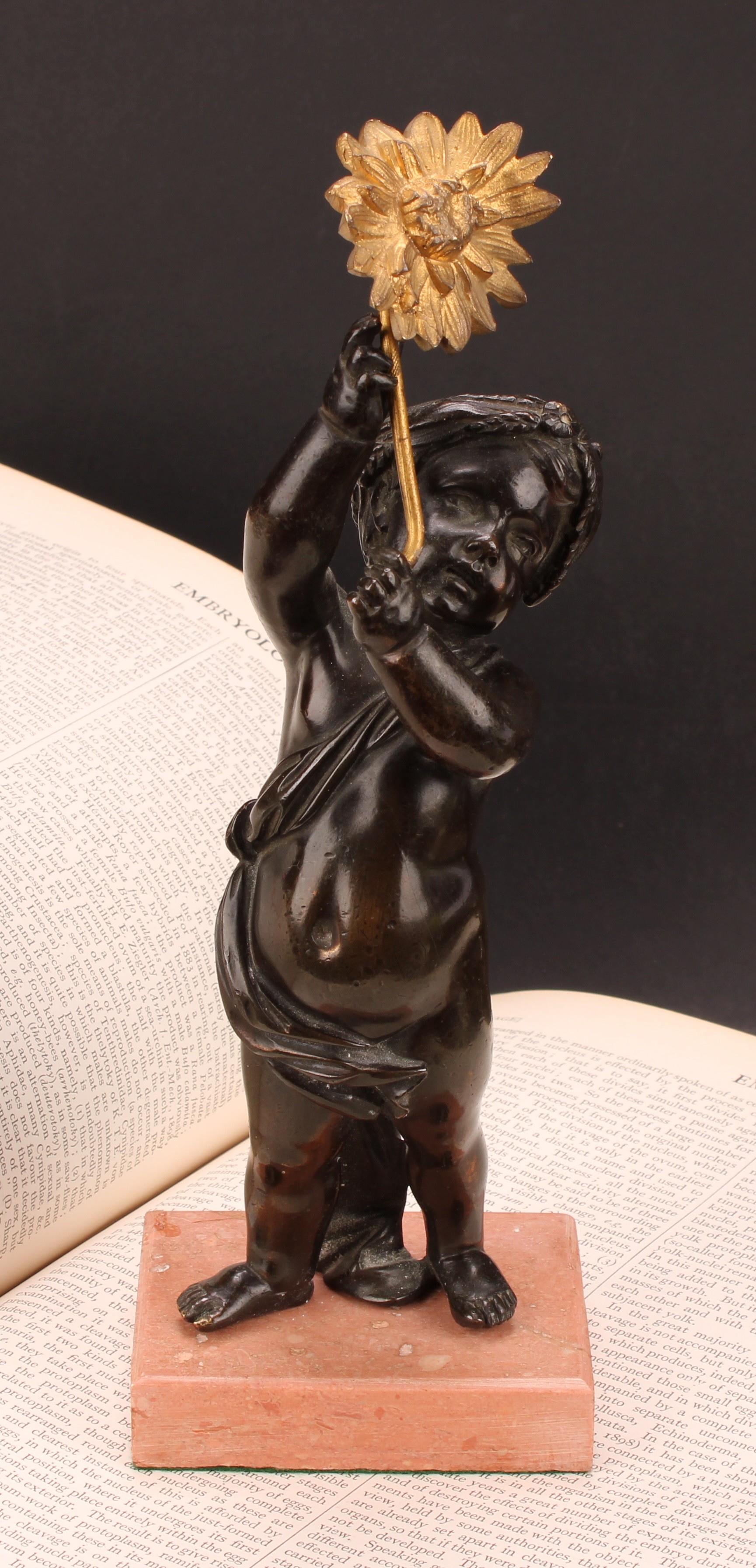 A 19th century patinated bronze, of a putto, holding aloft a gilt metal flower, rectangular rouge
