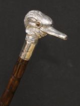 An Edwardian silver mounted novelty walking stick, the handle as the head of a bird, glass eyes,