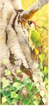 Ron Peterson (contemporary British school) Green Woodpecker, signed R.PETERSON and dated 08, acrylic