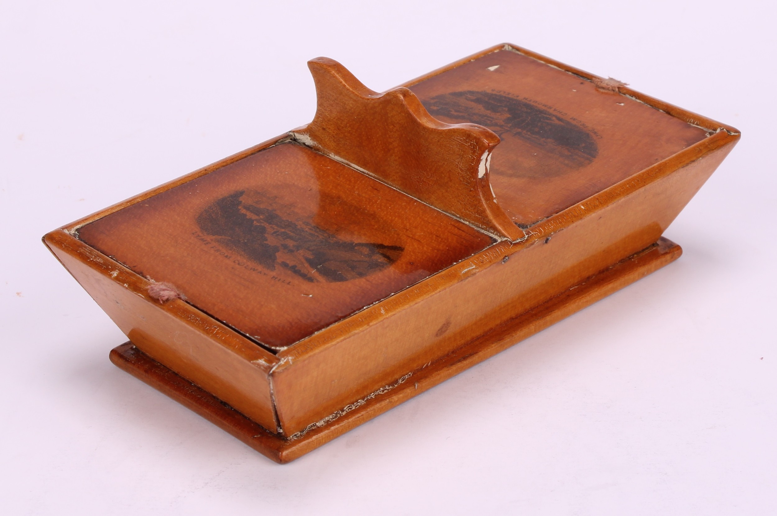 A large 19th century rounded rectangular treen snuff box, probably Scottish, integral hinge, the - Bild 6 aus 10