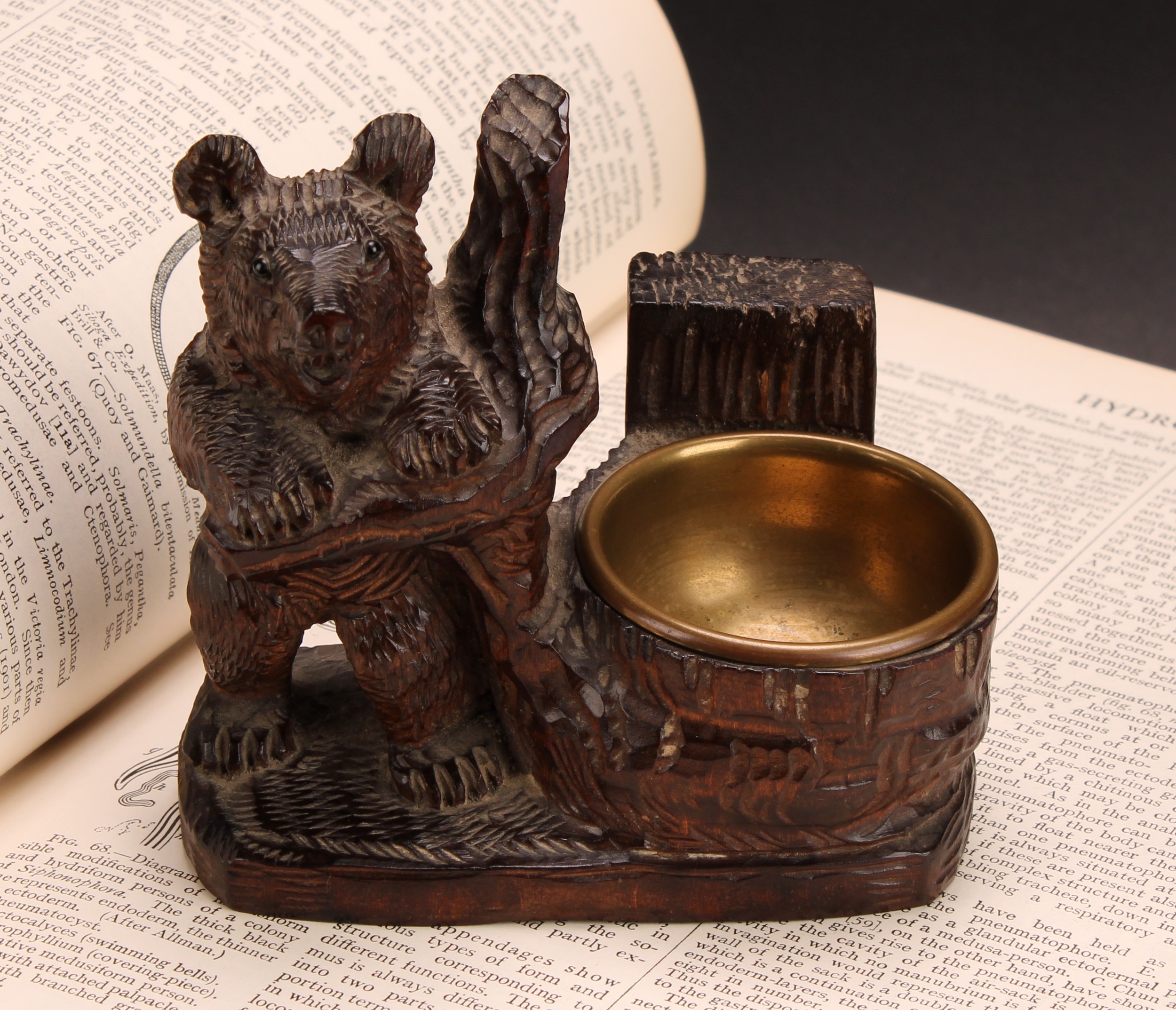 A Black Forest carved bear matchbox and vesta holder, brass liner, 11cm high