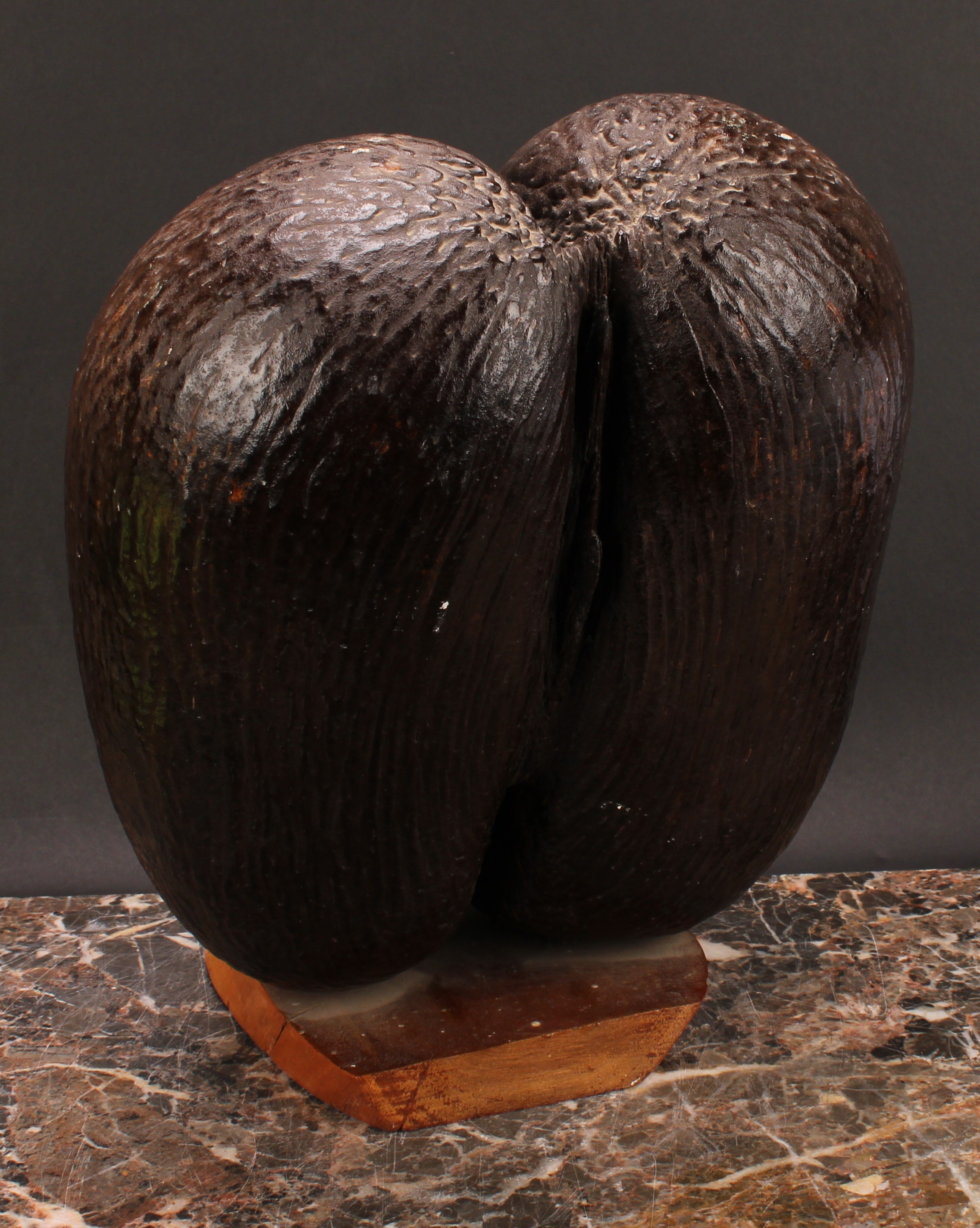 Natural History - a coco de mer (lodoicea), mounted for display, the base with silver coloured metal - Image 4 of 5