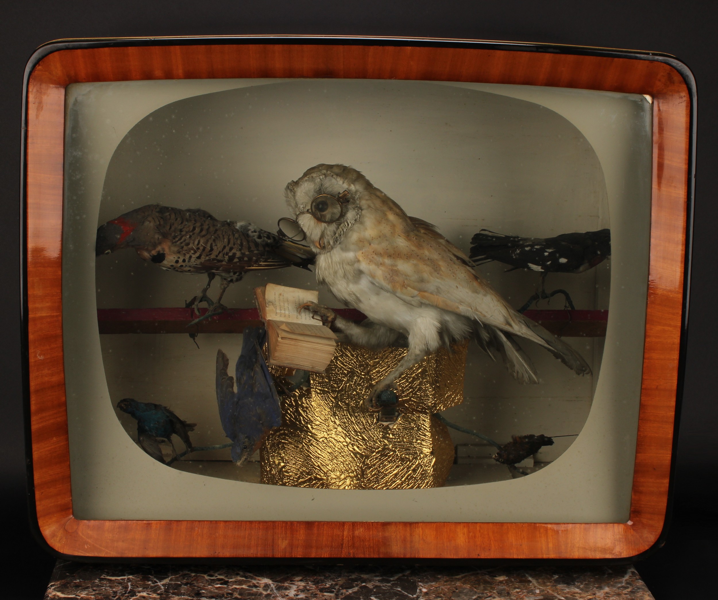 Taxidermy - a diorama in a 1960s TV cabinet, bespectacled Owl reading a book; other smaller birds